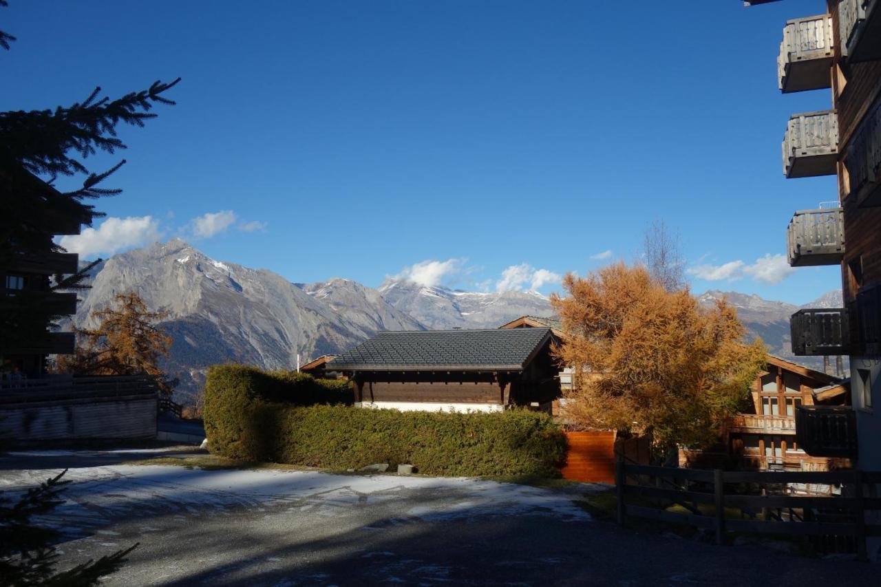 Pracondu Outdoor & Fun Appartement 1 Chambre Avec Balcon By Alpvision Residences Nendaz Exterior photo