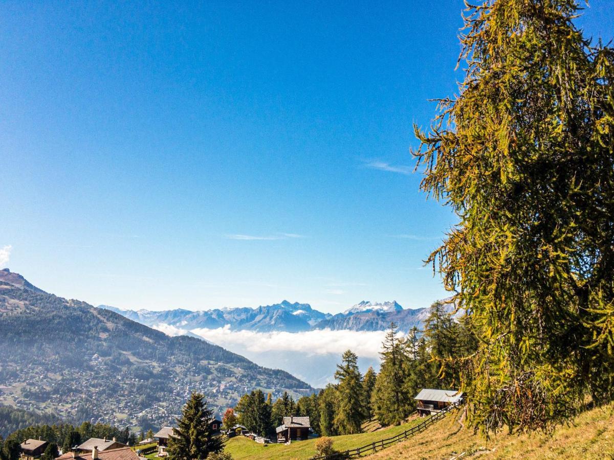 Pracondu Outdoor & Fun Appartement 1 Chambre Avec Balcon By Alpvision Residences Nendaz Exterior photo